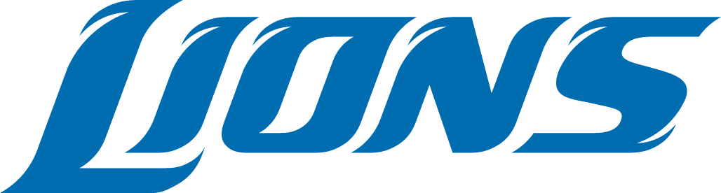 Detroit Lions 2009-2016 Wordmark Logo fabric transfer